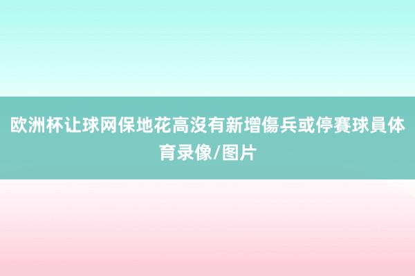 欧洲杯让球网保地花高沒有新增傷兵或停賽球員体育录像/图片