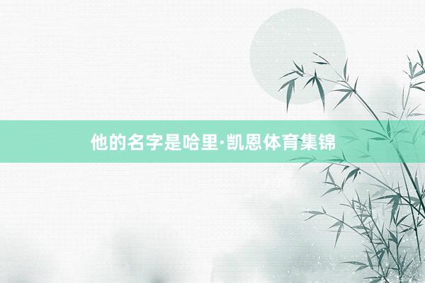 他的名字是哈里·凯恩体育集锦