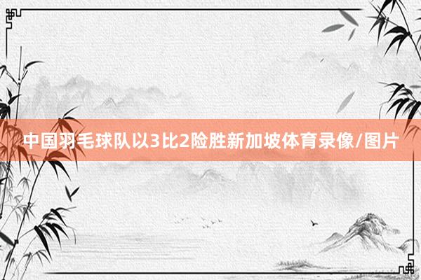 中国羽毛球队以3比2险胜新加坡体育录像/图片