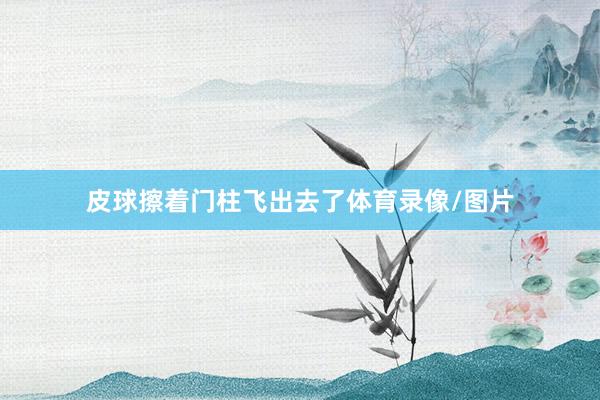 皮球擦着门柱飞出去了体育录像/图片